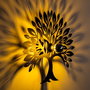 Opviq Heart Tree V2 Lámpara de pared negra